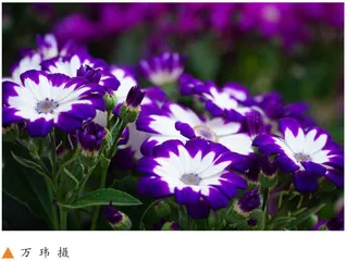 重视过程  静待花开