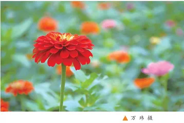 倾听最真实的声音