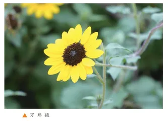 一张违规单引发的思考