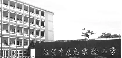 生长，在每一个“晨光”时刻