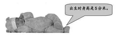 始于经验关联，终于数感培养