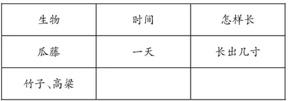 层级建构：让学习任务群互动共生