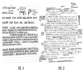 整本书阅读笔记的指导策略探究