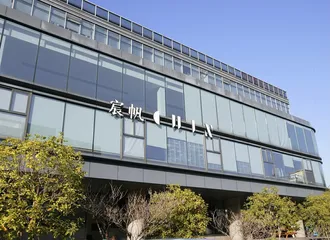 朱宸慧:“雪梨”式走红1
