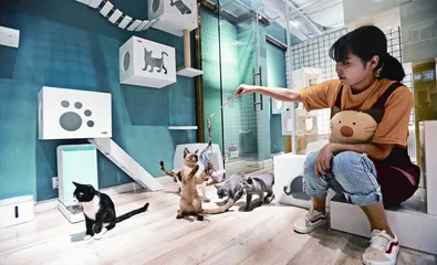 和宠物店抢生意的人1