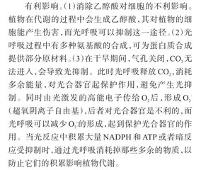 途径和光呼吸
