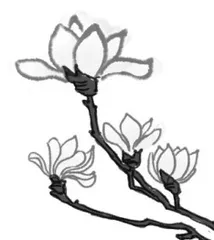小古文教学的三个“切入口”
