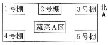 “双减”背景下小学数学分层作业设计的尝试