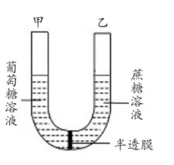 基于深度学习理念 开展生物课堂教学