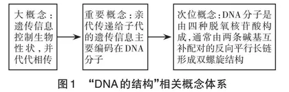 基于APOS理论建构生物学概念的教学设计