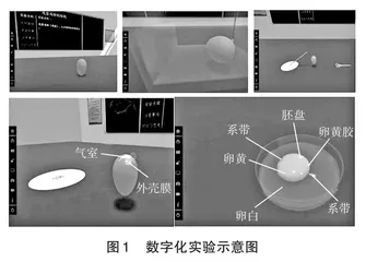 数字化实验在初中生物教学中的应用
