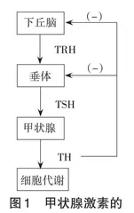 高中生物学“稳态与平衡”的分析及教学策略