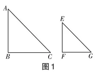 初中数学项目化学习的实践