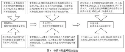初中生物学教学中物质与能量观的培养策略研究