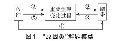 高中生物长句描述题规范作答的模型建构