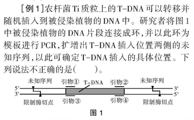 高中生物学PCR技术中的引物设计
