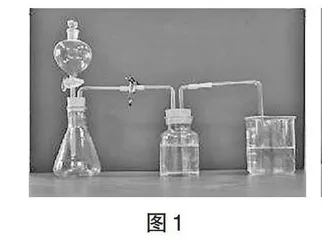 初中化学数字化实验教学的实践与思考
