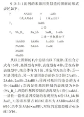 利用9∶3∶3∶1比例及其变式巧解遗传题