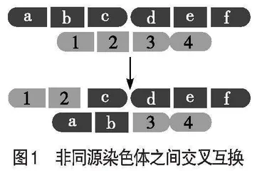 关于三种可遗传变异的辨析