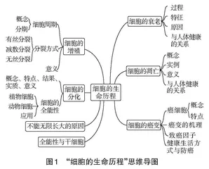 运用可视化思维模型　提高学科教学效能