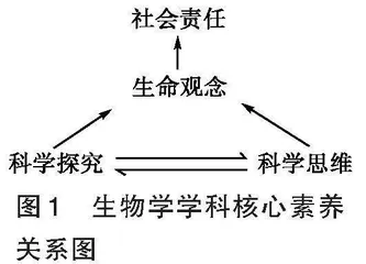 基于科学探究素养培养的高中生物学5E教学研究