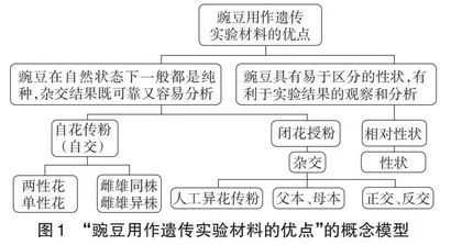 “孟德尔的豌豆杂交实验（一）”一节的教学建议