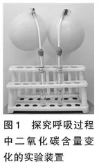 指向科学思维培养的“人体内的气体交换”教学设计