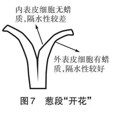 基于科学探究能力培养的高中生物学教学设计   