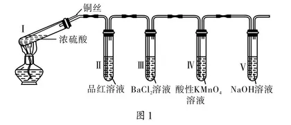 以实验图像育关键能力
