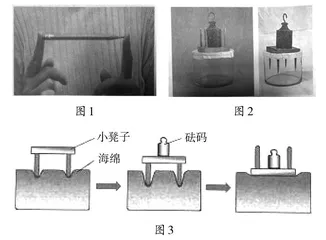 实施差异教学，提升学生科学探究能力
