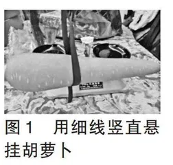 创新物理实验　提升科学思维