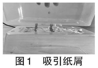 初中物理课外实践活动设计