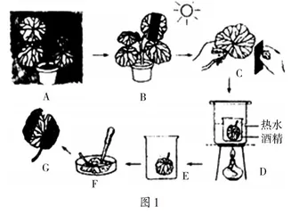 例谈中考生物学复习策略