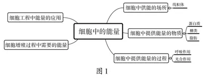 “双减”背景下高中生物大单元有效教学的研究 