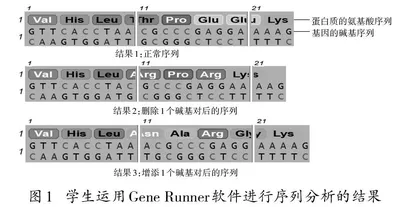 生物学模拟实验在科学思维培养中的应用