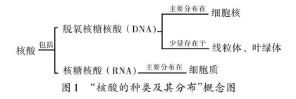 基于概念模型构建的支架式教学研究