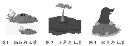 概念卡通材料在科学教学中的运用研究