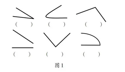 优化学习活动　促进概念生成