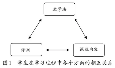 照镜子为什么能成像