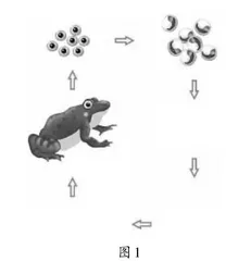 浅谈思维可视化在低年级阅读教学中的应用