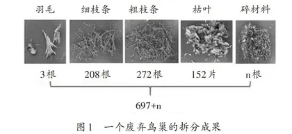 云端互动：音乐教学的新路径