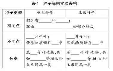 基于精细操作的初中生物学探究实践素养的培育路径