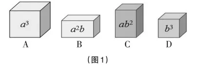 探理：在体验中发展数学思维