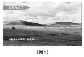 初中音乐教学中实现“知识迁移”的策略研究