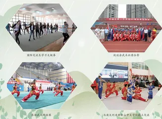 绵延历史文脉 弘扬武术精神
