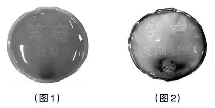以教师勤学助力学生核心素养发展