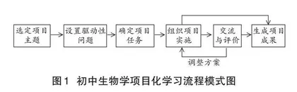 基于新课标的初中生物学项目化学习的课堂范式与教学策略