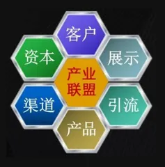 国锋堂大健康平台：融合古今智慧，绘就健康产业新蓝图2