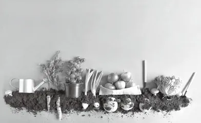被遗忘的有机农业经典2