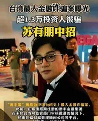 一场横跨16年的诈骗案,割了全台湾的韭菜2